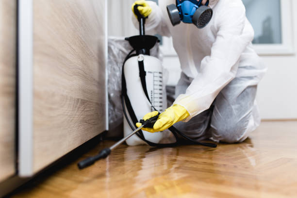 Best Wasp Removal Services  in Hot Springs, SD