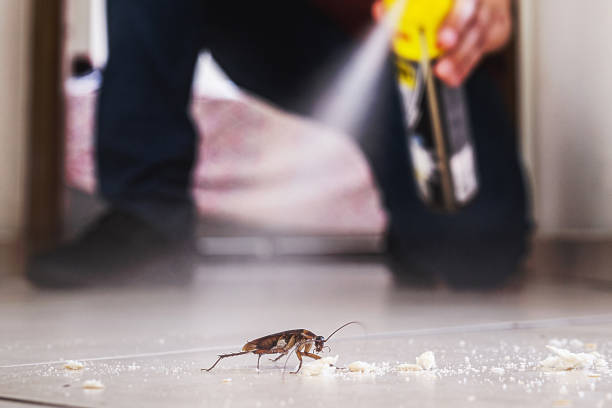 Best Best Pest Control Companies  in Hot Springs, SD