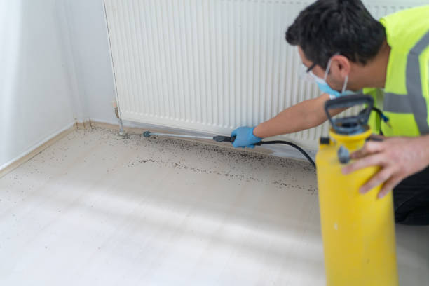Best Commercial Pest Control Services  in Hot Springs, SD