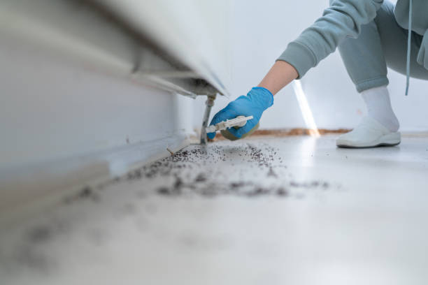 Best Emergency Pest Control  in Hot Springs, SD